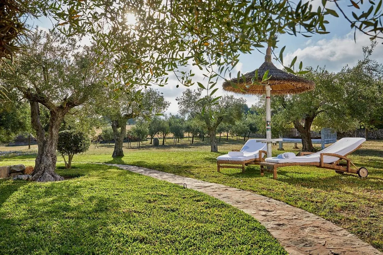 Finca La Salve Apartment Pollenca 0*,